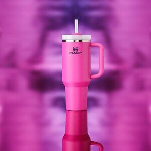 Stanley Quencher H2.0 FlowState Stainless Steel Vacuum Insulated Tumbler 40 OZ